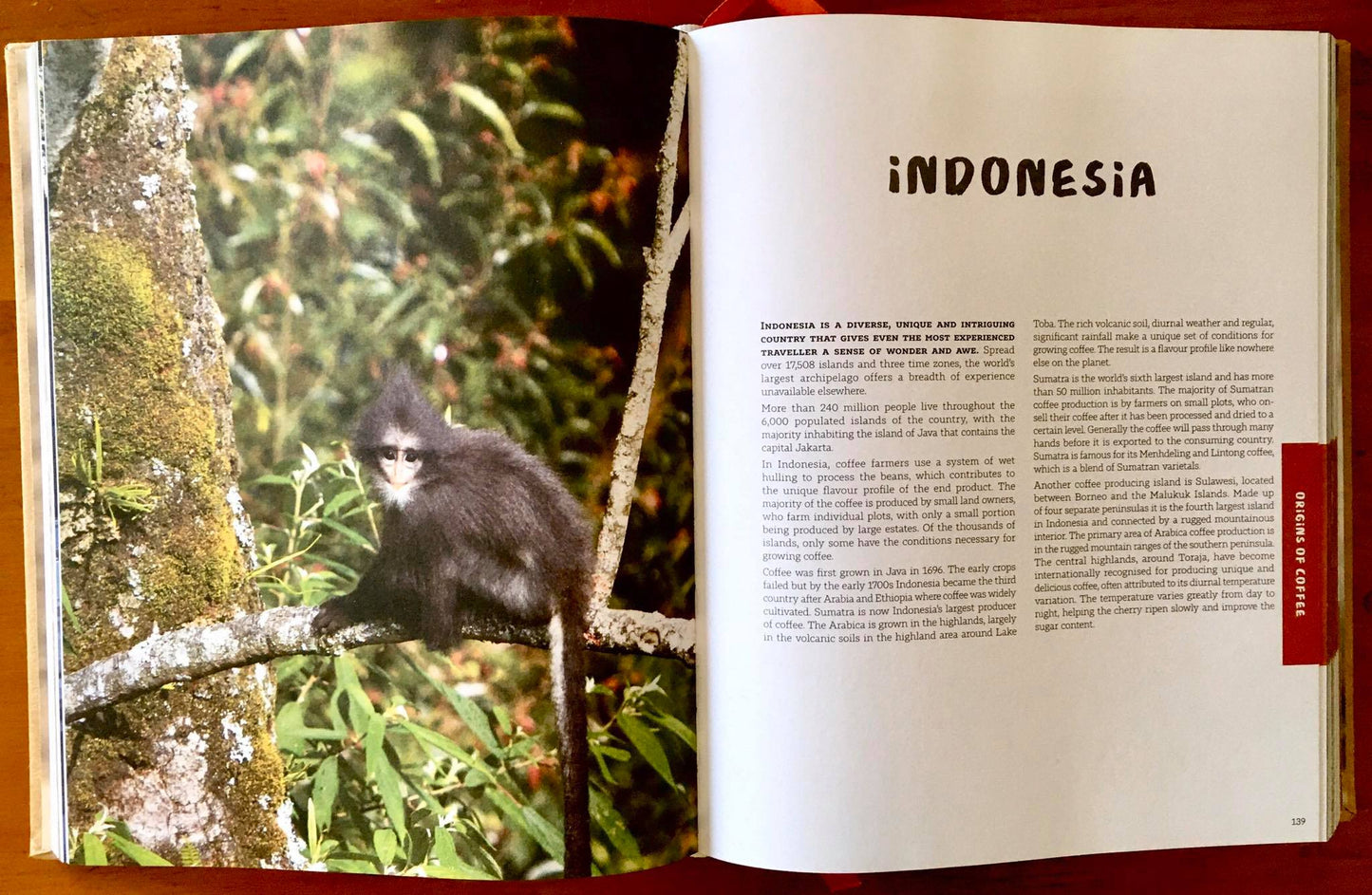 Reading - Coffee Encounters