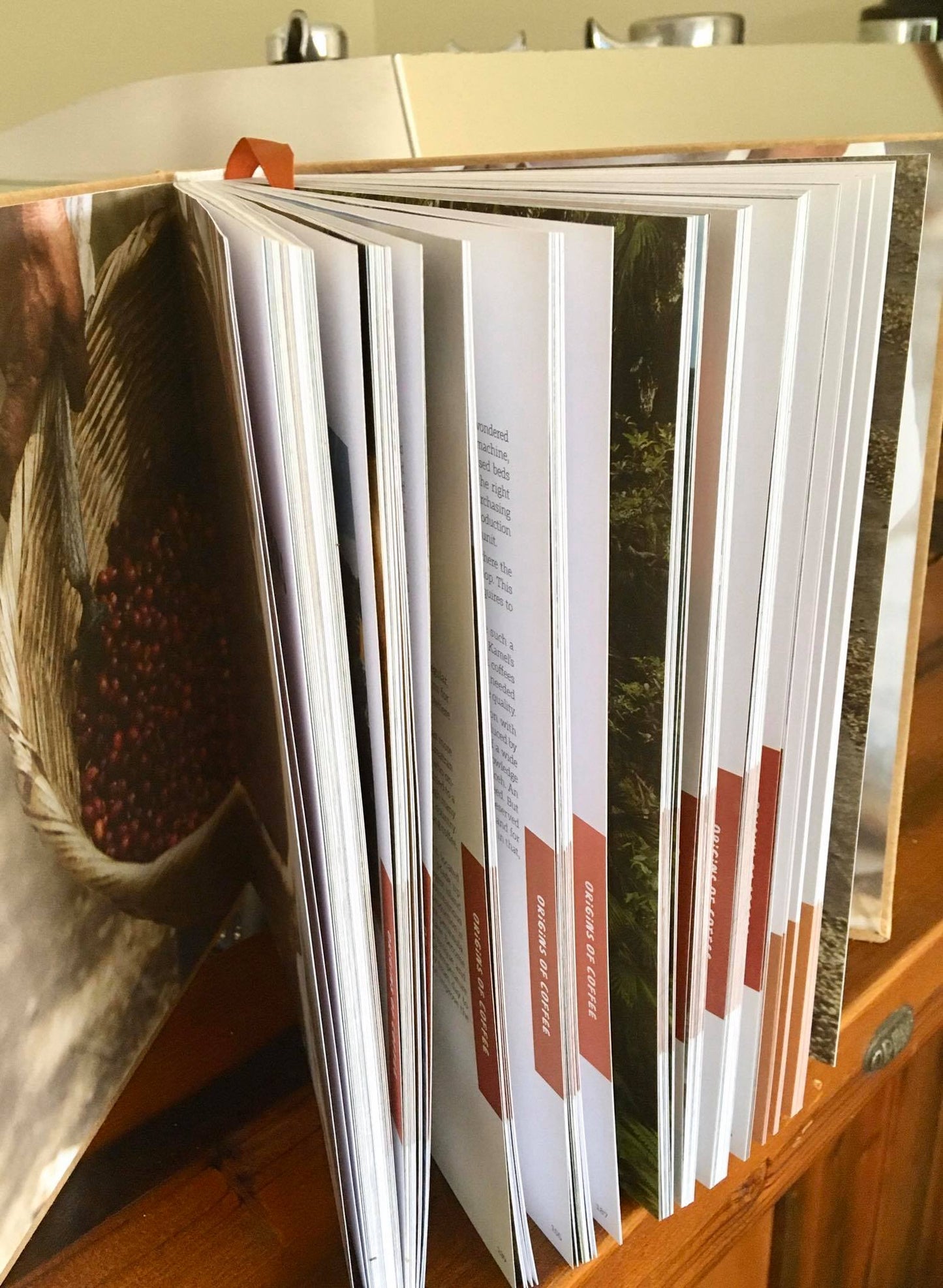 Reading - Coffee Encounters